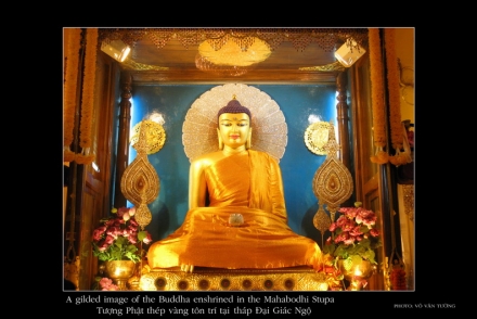 62 ảnh Phật tích Ấn Độ và NePal - Vesak 2008, Hà Nội