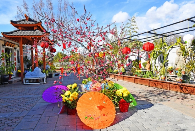 ẤN TÔN THIỀN ĐƯỜNG, SAN JOSE - TẾT TÂN SỬU 2021