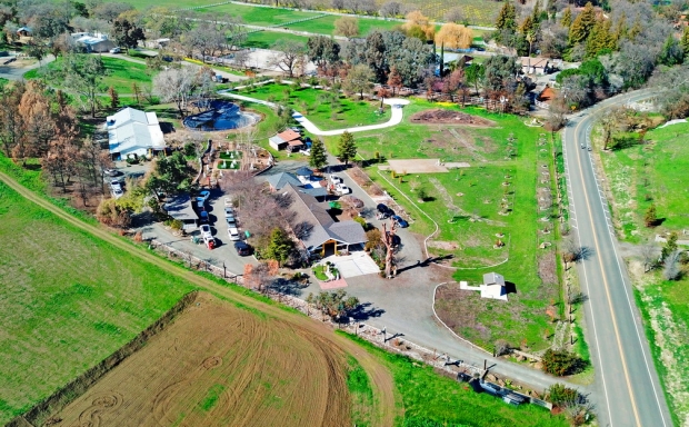 SẮC XANH Ở NGÔI CHÙA VIỆT SAU 6 THÁNG TRONG BIỂN LỬA CHÁY RỪNG Ở CALIFORNIA, HOA KỲ.