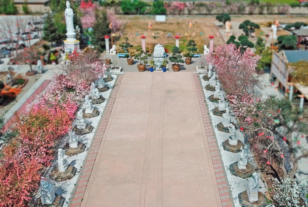 CHÙA THIỆN ÂN, FRESNO (HOA KỲ) VỚI VƯỜN TƯỢNG A LA HÁN VÀ VƯỜN HOA ANH ĐÀO TUYỆT ĐẸP!