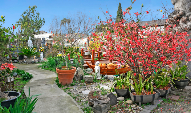 ẤN TÔN THIỀN ĐƯỜNG, SAN JOSE, HOA KỲ - VÀI HÌNH ẢNH TRANG TRÍ TẾT GIÁP THÌN - 2024